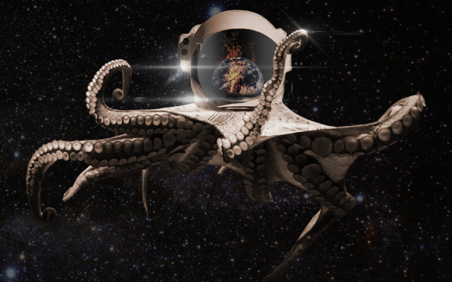 Feature Band Ligature Marks Interview with Ligature Marks MIRP